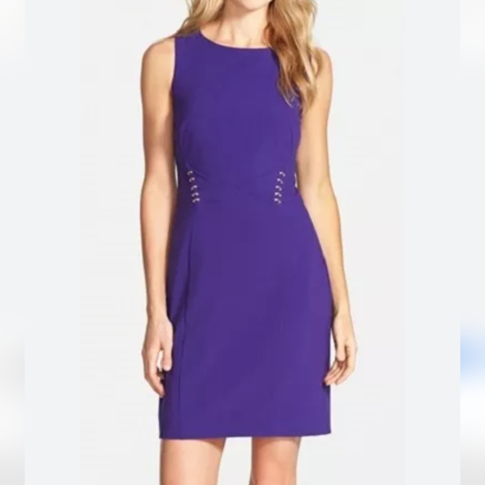 Tahari. Women's Sleeveless Dress. Purple. Size 6P.